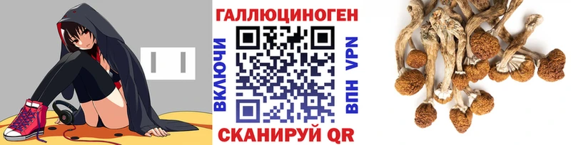 KRAKEN ССЫЛКА  Балаково  Псилоцибиновые грибы Psilocybine cubensis 